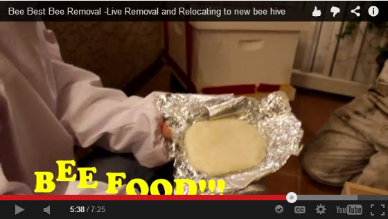 live-removal-video