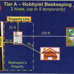 SDC-Bee-Ordinance-slide-2