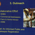 SDC-Bee-Ordinance-slides-2-3