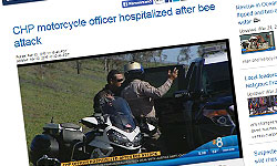 CHP-officer-stung