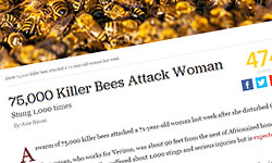 killer-bees-attack-woman