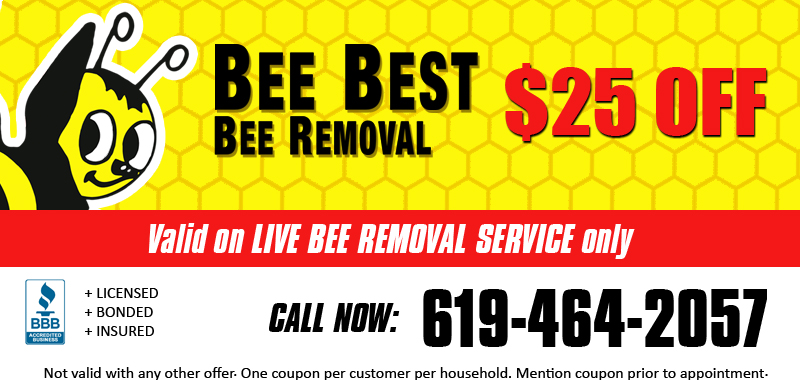 Discount Coupons for Bee Removal | Bee Best Bee Removal ...