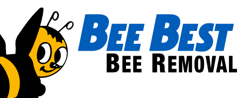 Service Locations In San Diego | Bee Best Bee Removal - San Diego, CA