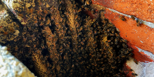 massive-beehive-chimney