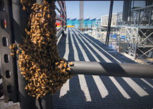 metal-pole-bees