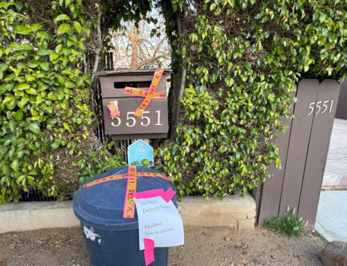 Mail Box Bees – Special Delivery