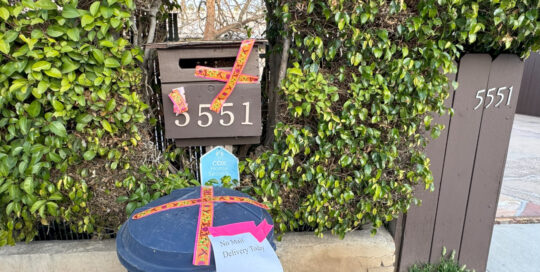 Mail Box Bees - Mail undeliverable